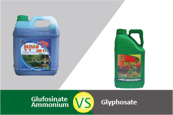 Glufosinate Ammonium vs Glyphosate