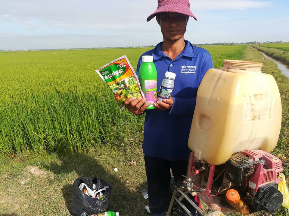 Kenvos Radi Plus is effective in controlling rice pests